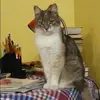 Отзыв от Альбина Белякова